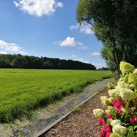 Blaarkop Bullekroffie *